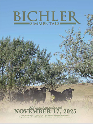 Bichler Simmentals Catalog 2024