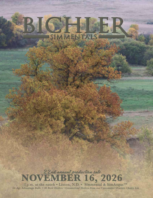 Bichler Simmentals Catalog 2024